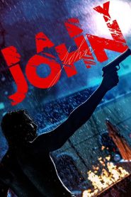 Baby John (Hindi) 2024 FHD Web DL Watch & Download GDrive-MovieHubbd.com